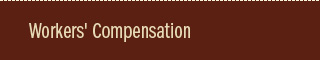 Workers' Compensation